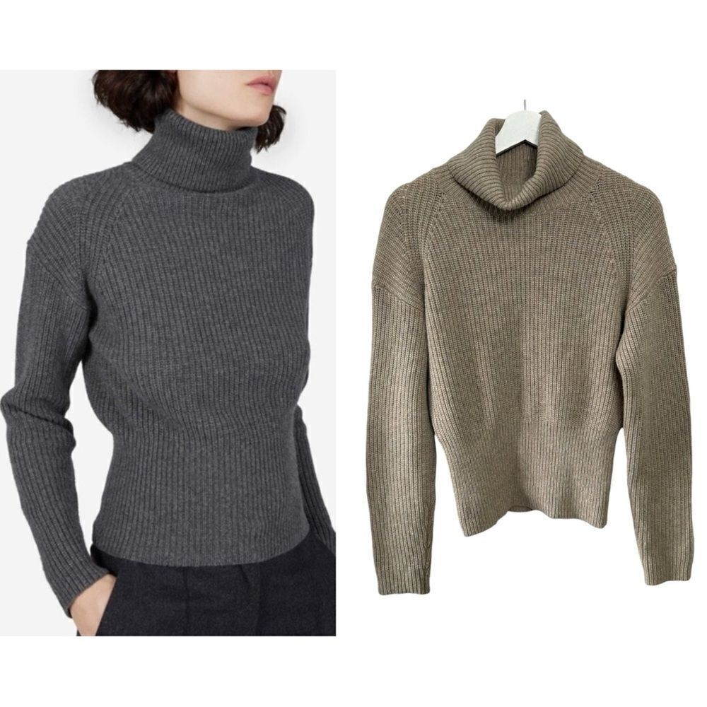 Everlane The Premium Ribbed Cashmere Turtleneck